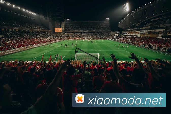 App Interface Preview