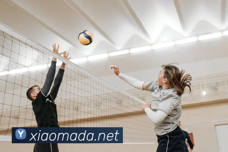 米兰体育·米兰官方网站 - 米兰online(中国)APP 封面图